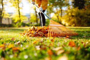 A person raking fall leaves
